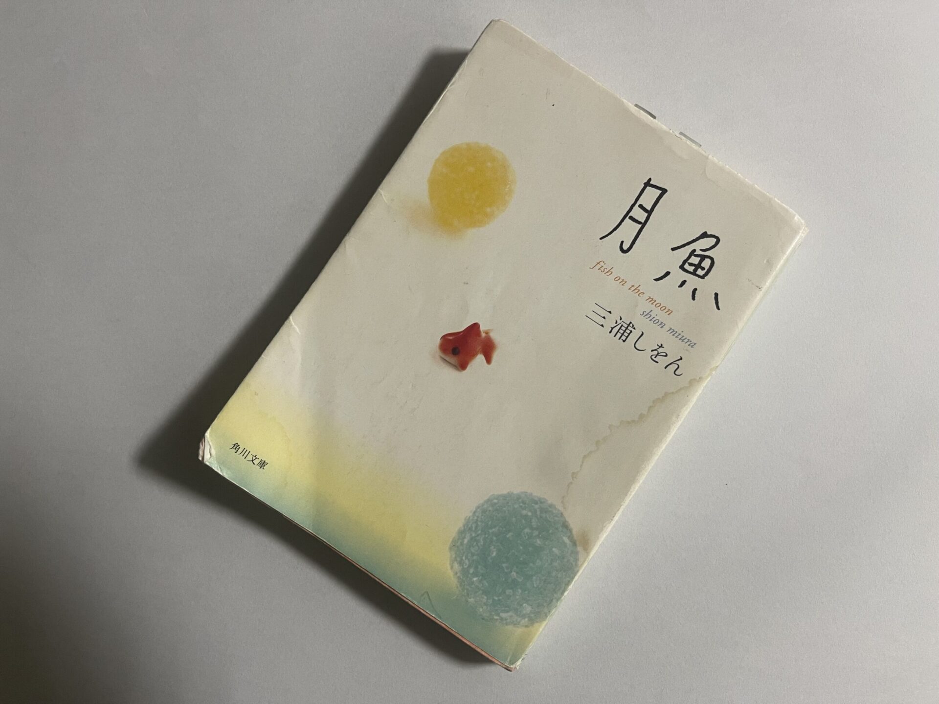 三浦しをん『月魚』