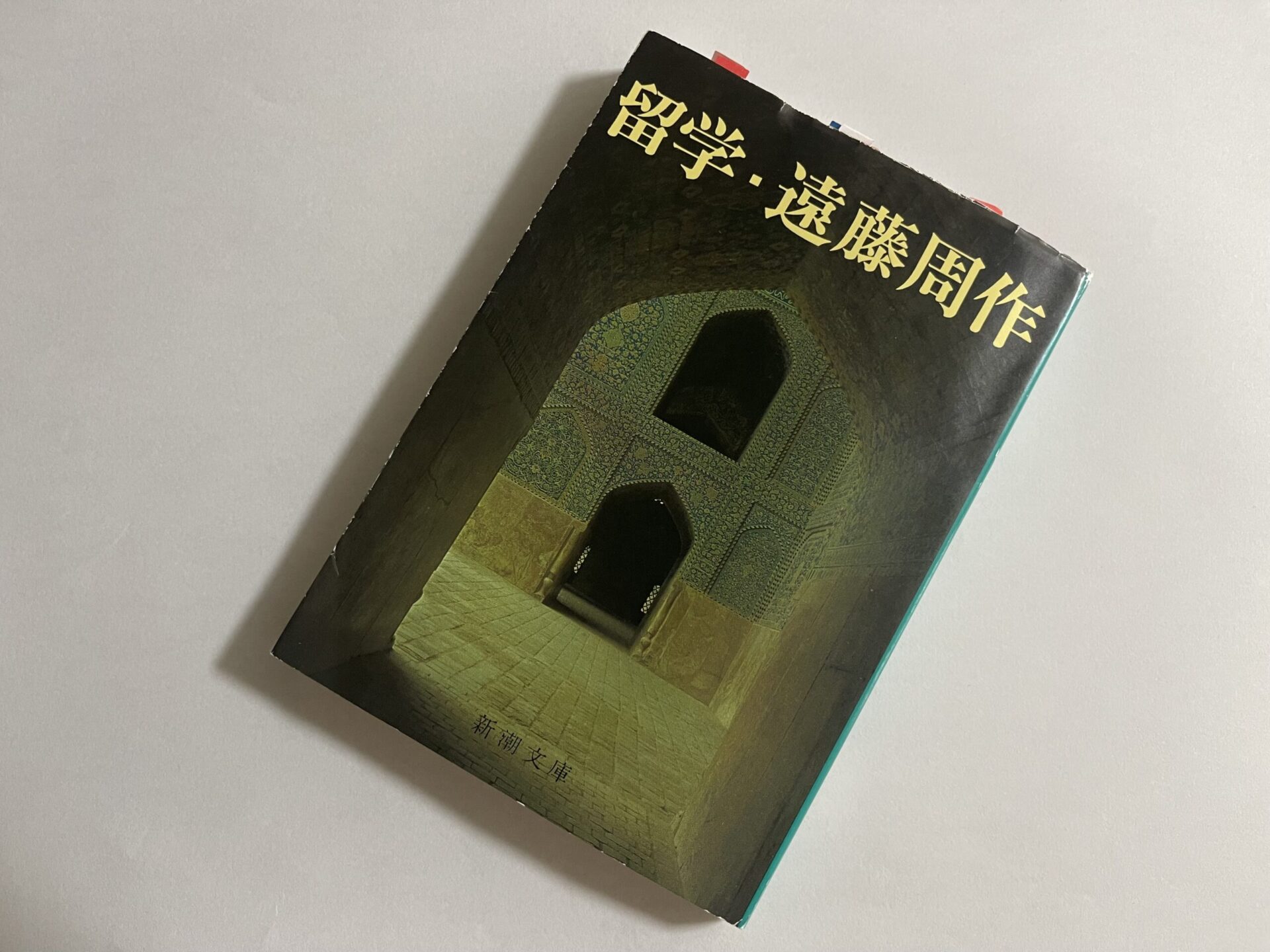 小説】遠藤周作『留学』：諦念や挫折＝棄教なのか - 酒と共感の日々