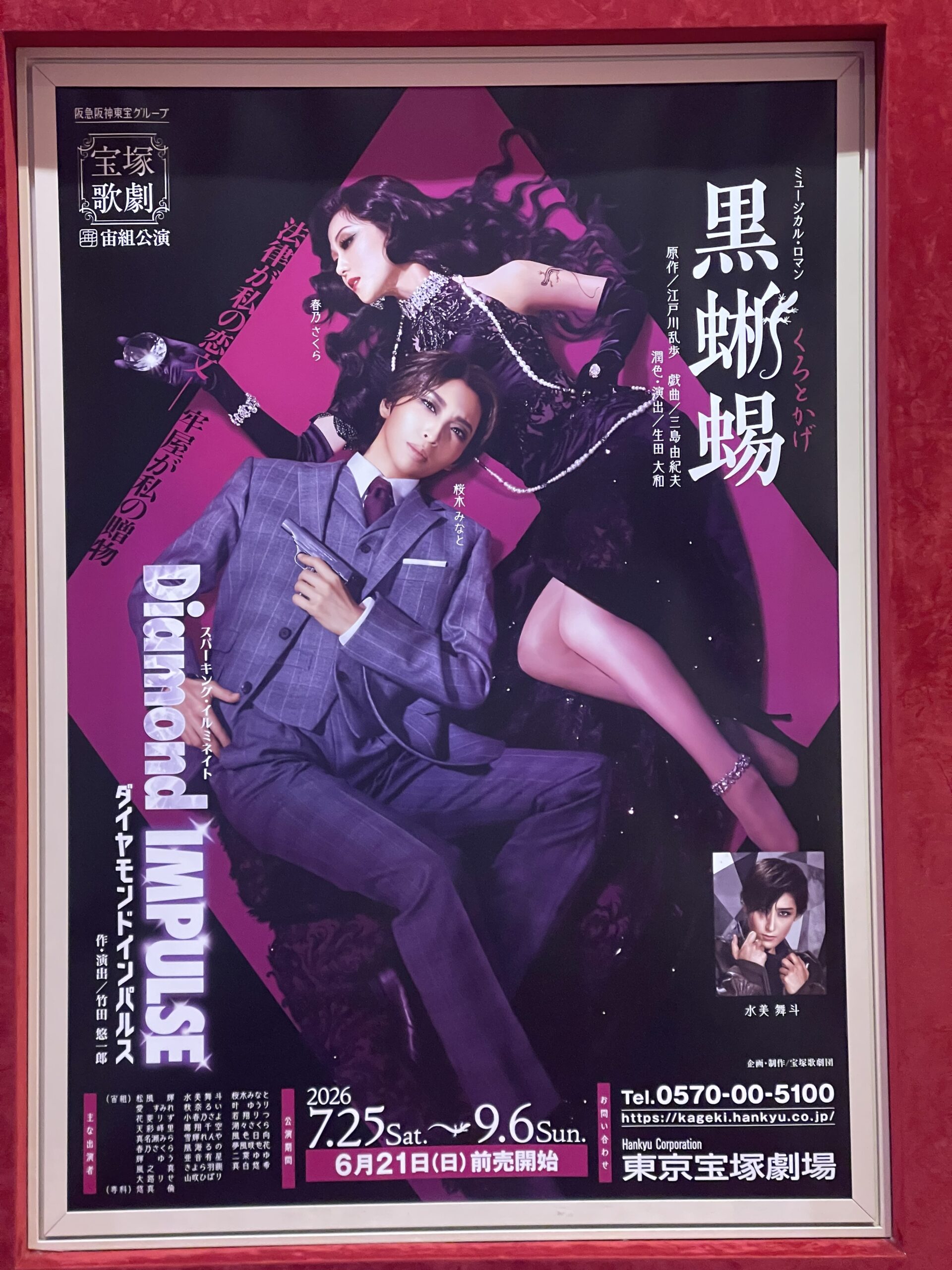 宙組『黒蜥蜴』ポスター