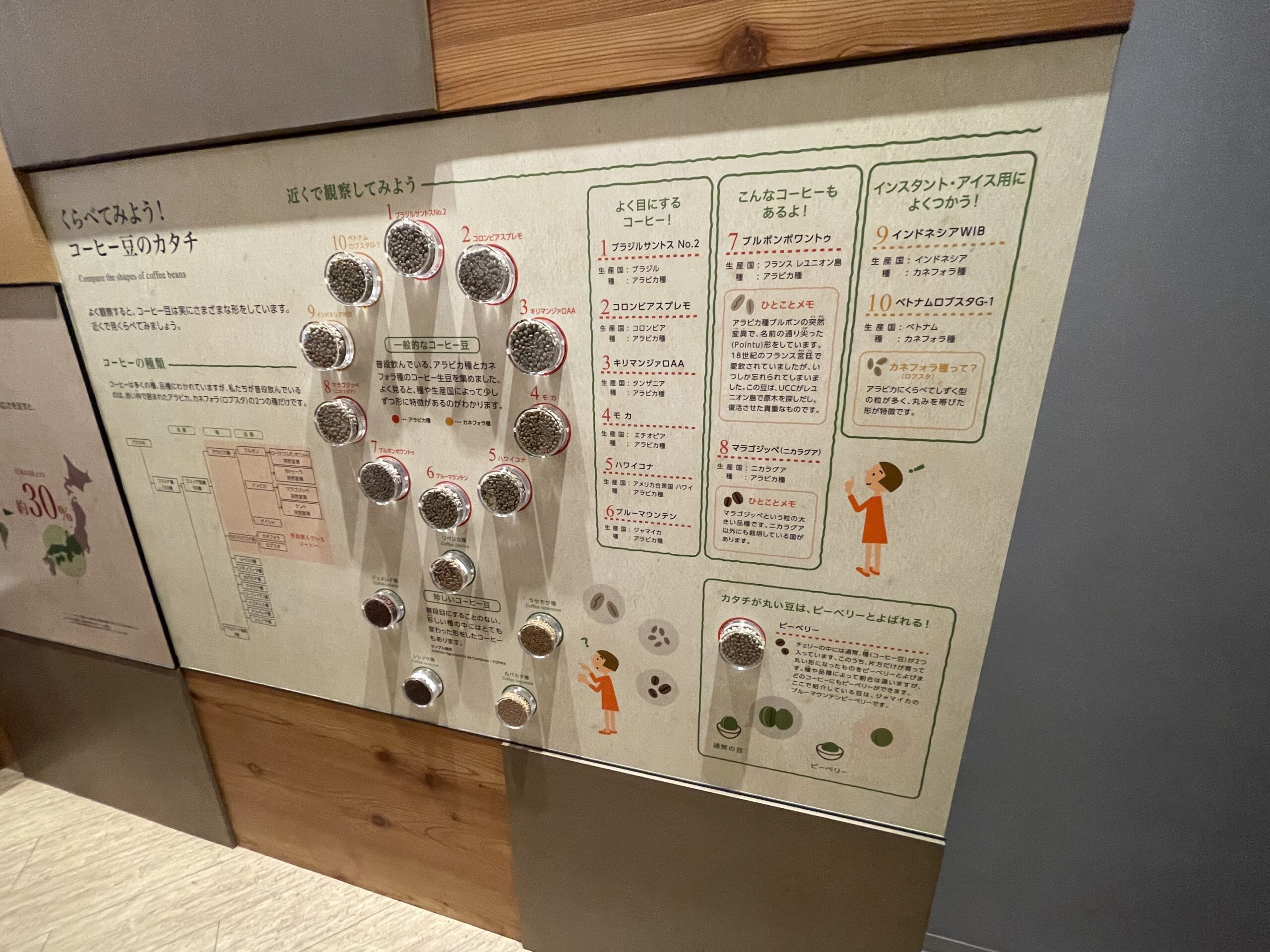 UCCコーヒー博物館の展示(豆の種類)